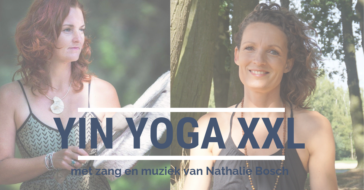Yin XXL