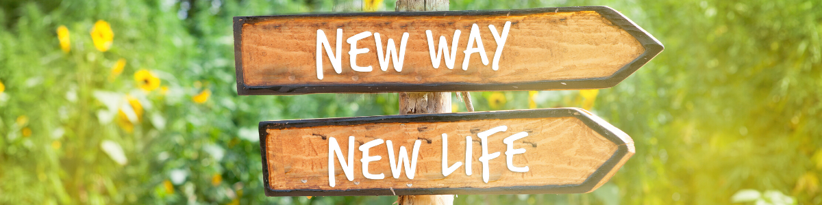 mailchimp new way -new life